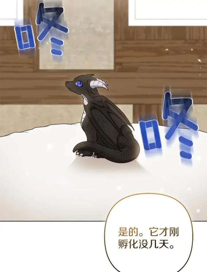 漫画《所以我和废皇太子结婚了》38.天才炼金术士第82张图