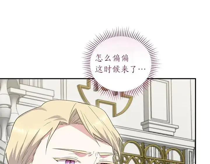 漫画《太可爱了怎么办》第74话 求婚第115张图