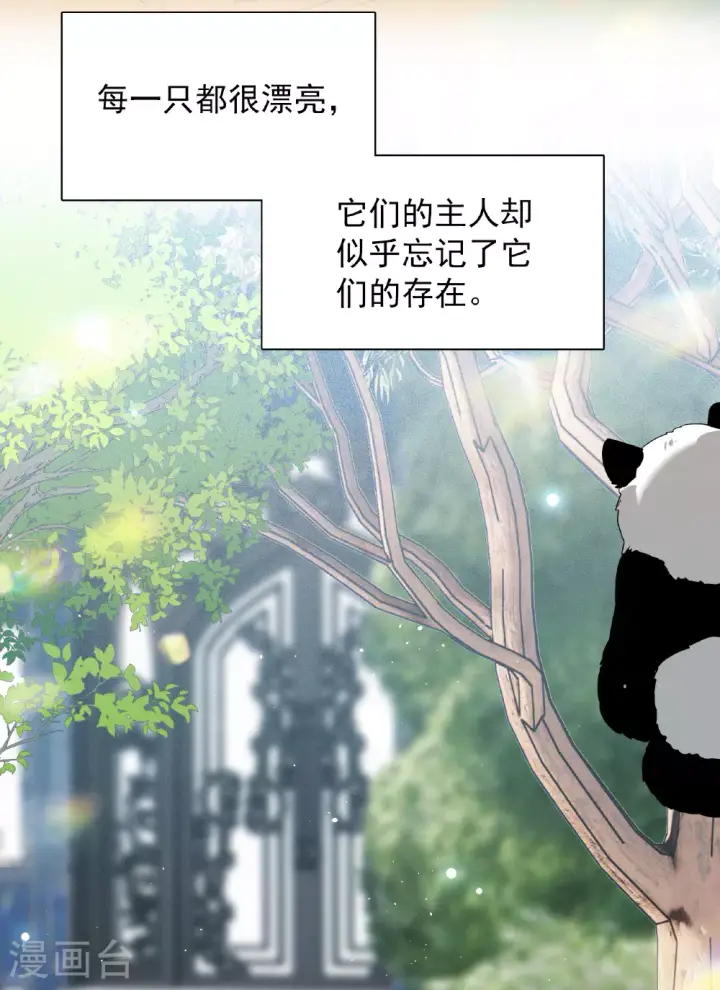 漫画《她来了，请趴下》特别番外6第12张图
