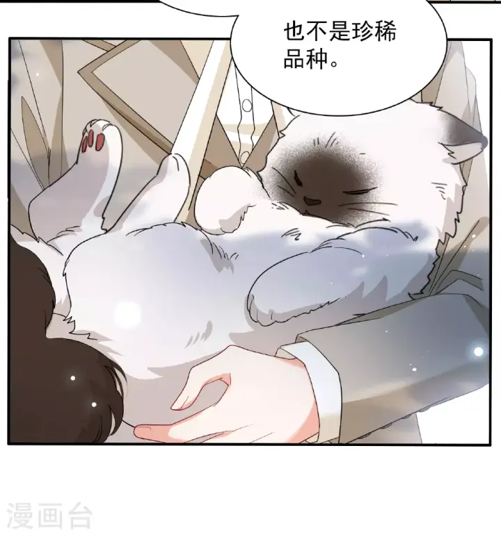 漫画《她来了，请趴下》特别番外6第5张图