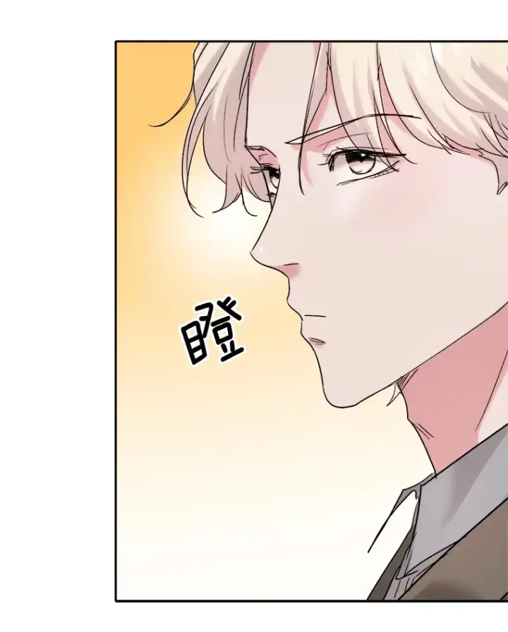 《天生巨星》72.票房反败为胜图95