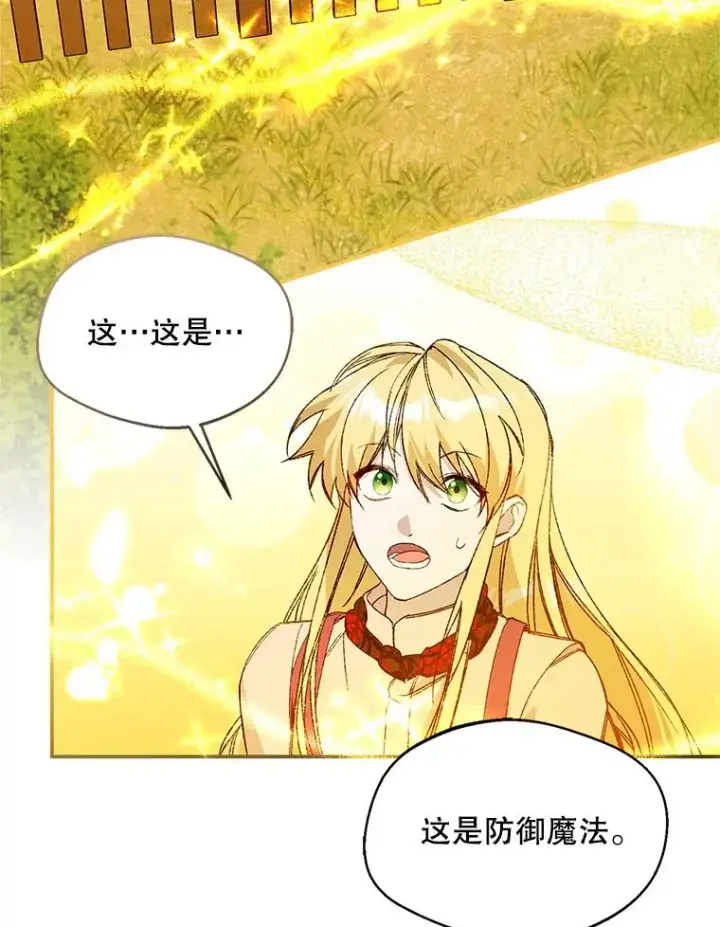 《挑选丈夫时要慎重》74.返回艾登村图22
