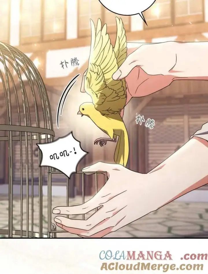 漫画《听丈夫的话包养情夫》第36话第41张图