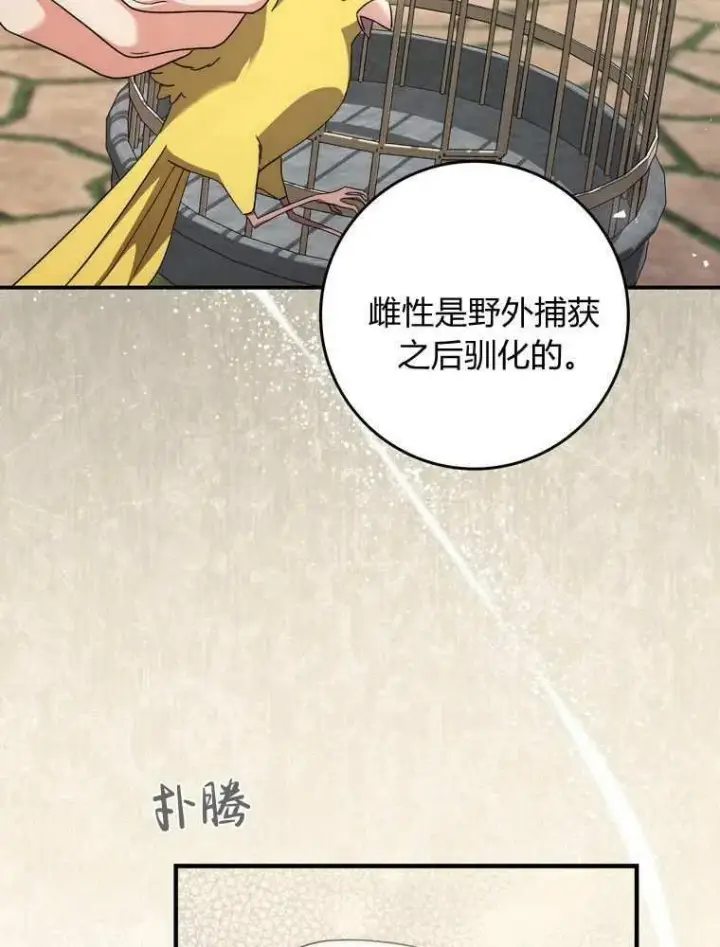 漫画《听丈夫的话包养情夫》第36话第47张图