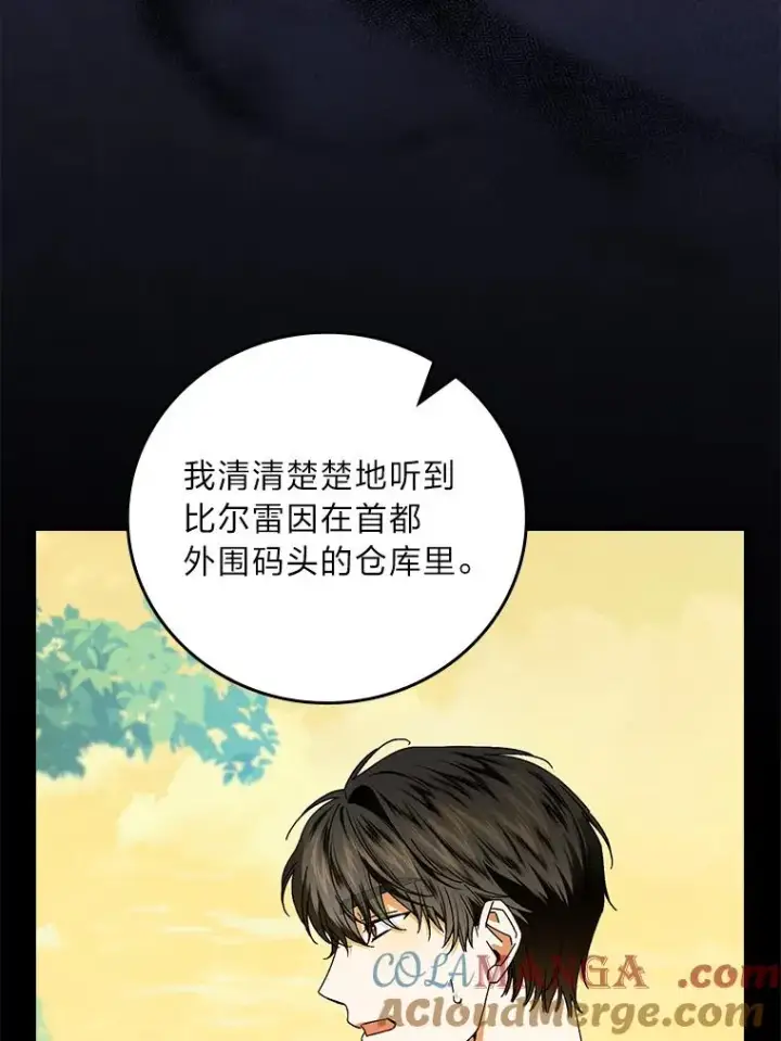 漫画《童话里反派的完美结局》93.声东击西第85张图