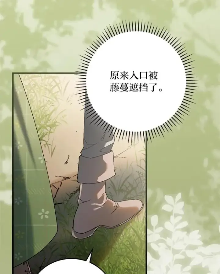 《童话里反派的完美结局》104.爱热闹的魔女图36