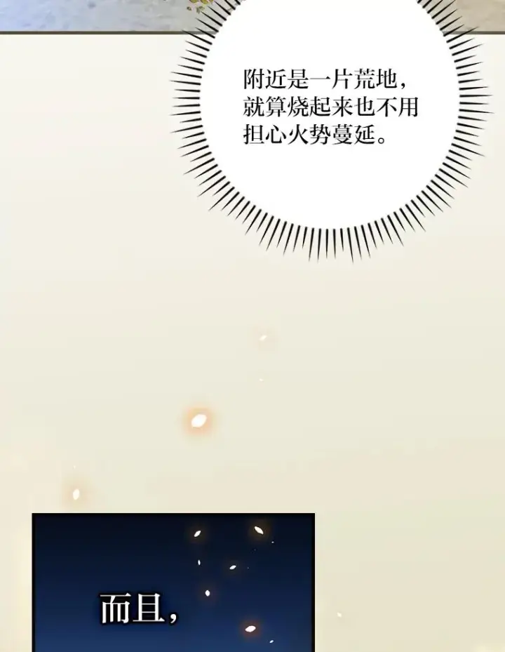 漫画《童话里反派的完美结局》106.烧光过往第40张图
