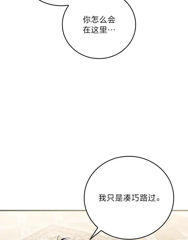 漫画《童话里反派的完美结局》115.利夏尔的故事第39张图