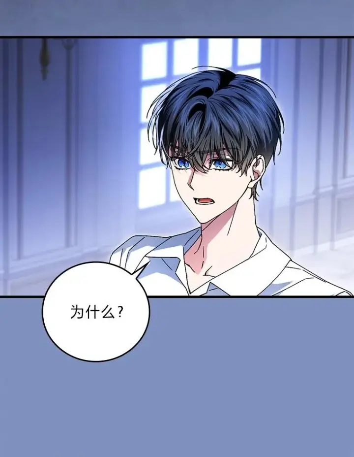 漫画《童话里反派的完美结局》115.利夏尔的故事第63张图