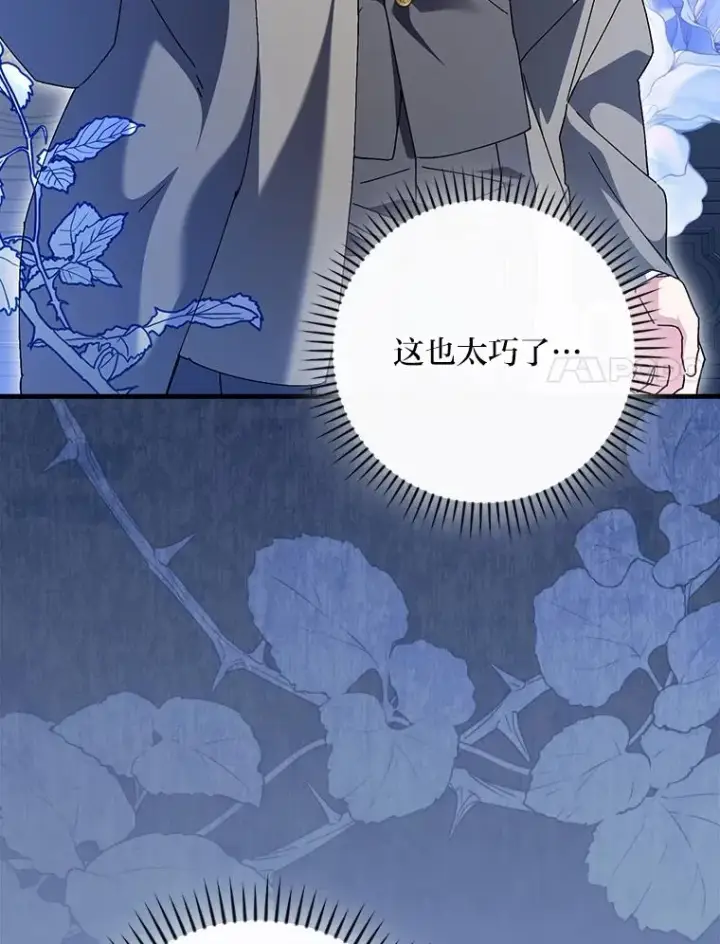 漫画《童话里反派的完美结局》115.利夏尔的故事第95张图