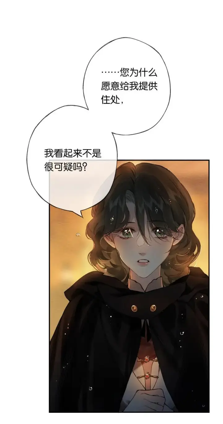 《偷香》015 煎心且衔泪图27