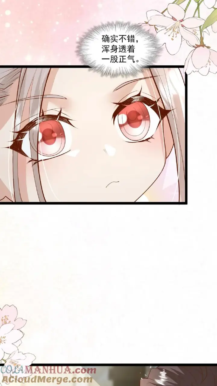 漫画《团宠萌宝：四岁小师傅下山了》第100话 拜师请排队第21张图