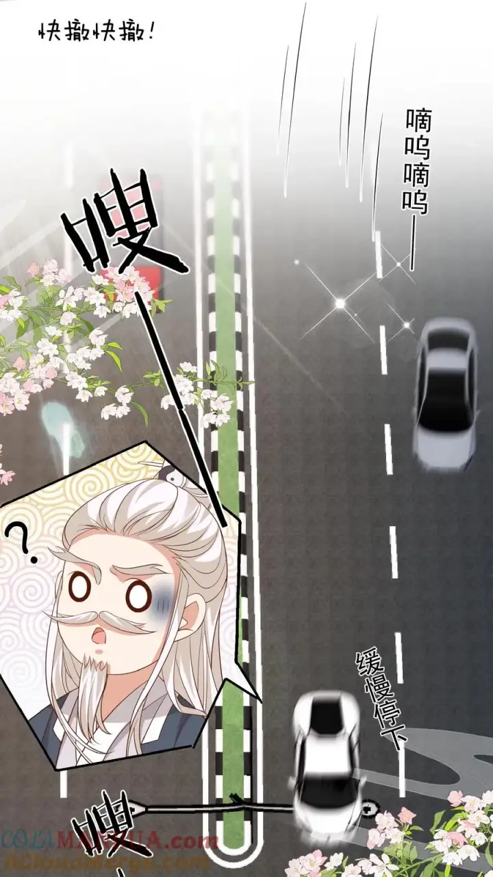 漫画《团宠萌宝：四岁小师傅下山了》第103话 滨江路老车神第7张图