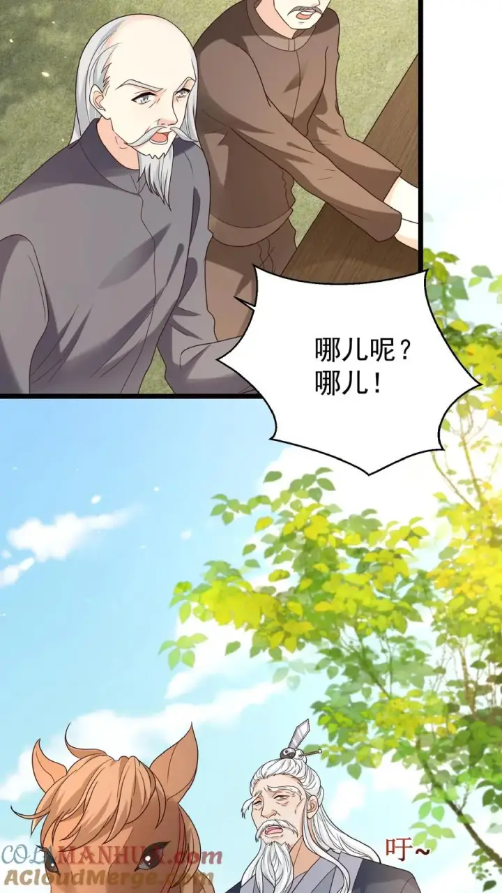 漫画《团宠萌宝：四岁小师傅下山了》第119话 小师傅飒爆了第5张图