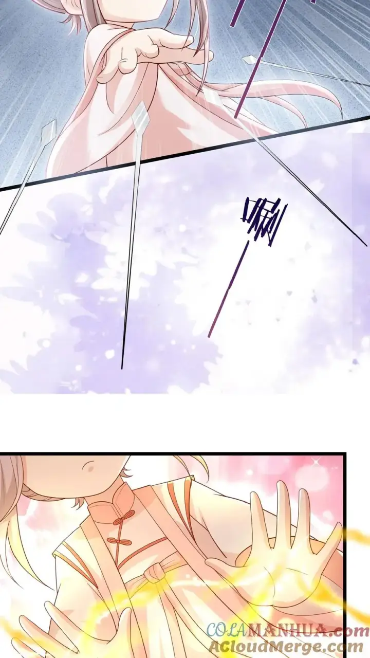 漫画《团宠萌宝：四岁小师傅下山了》第129话 总有刁民搞事情第19张图
