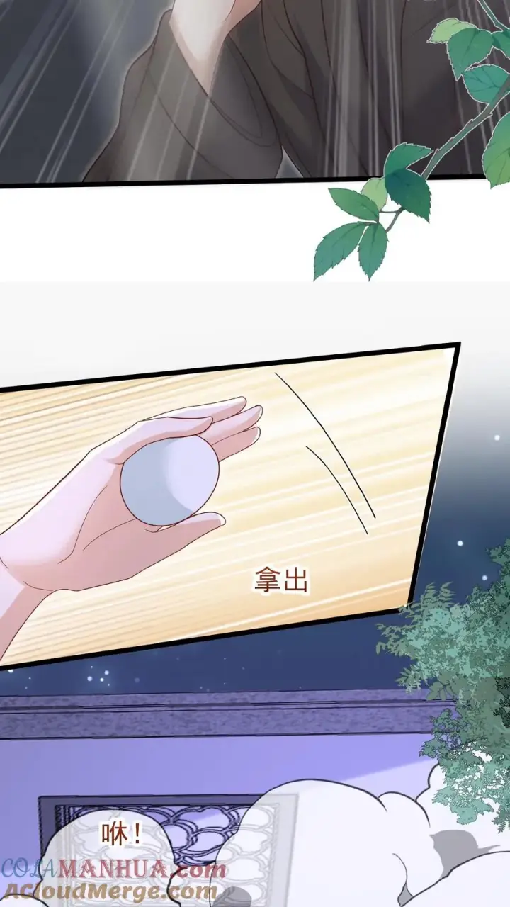 漫画《团宠萌宝：四岁小师傅下山了》第159话 别惹本小姐第19张图