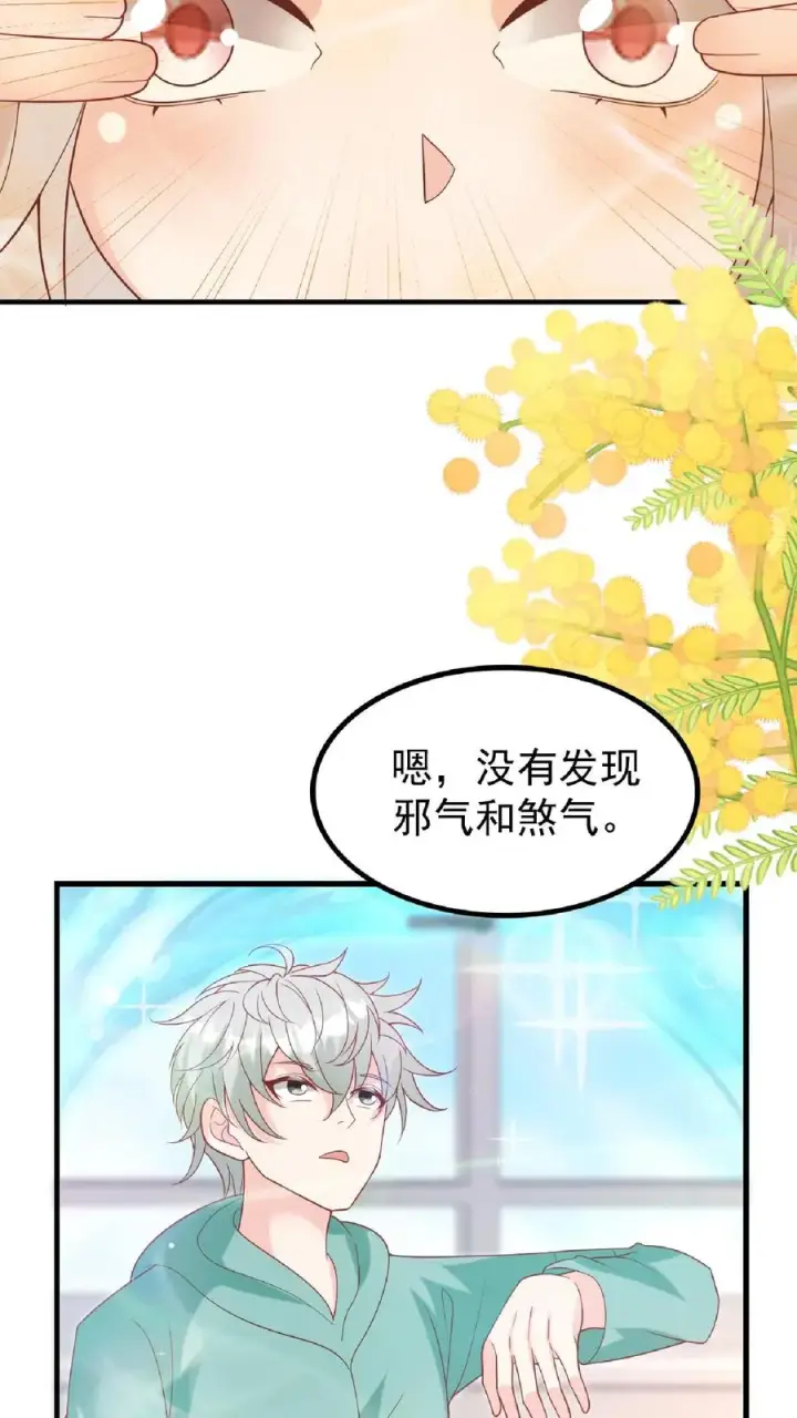 漫画《团宠萌宝：四岁小师傅下山了》第165话 诡异的梧桐树第14张图