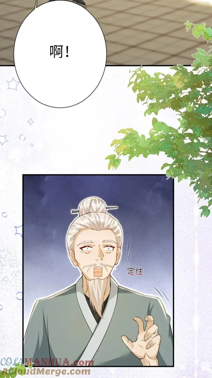 漫画《团宠萌宝：四岁小师傅下山了》第167话 仗剑天涯梦第3张图