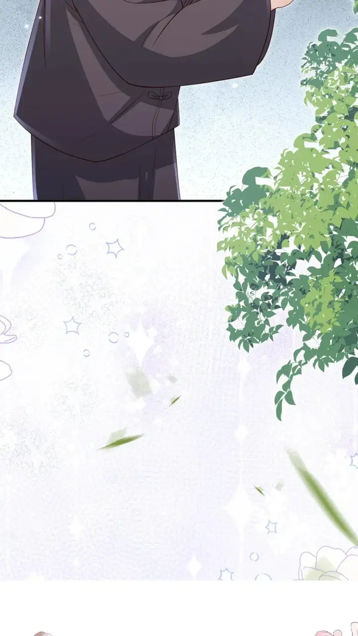 漫画《团宠萌宝：四岁小师傅下山了》第168话 军方郭家第26张图