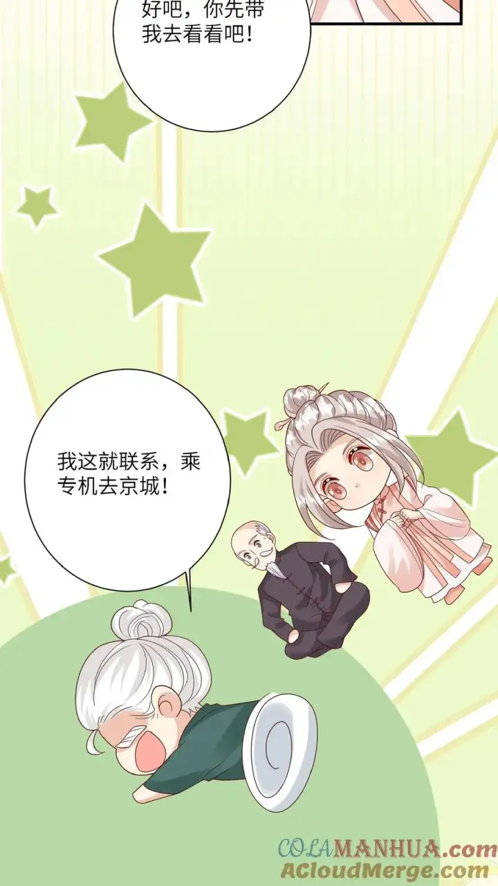 漫画《团宠萌宝：四岁小师傅下山了》第168话 军方郭家第9张图