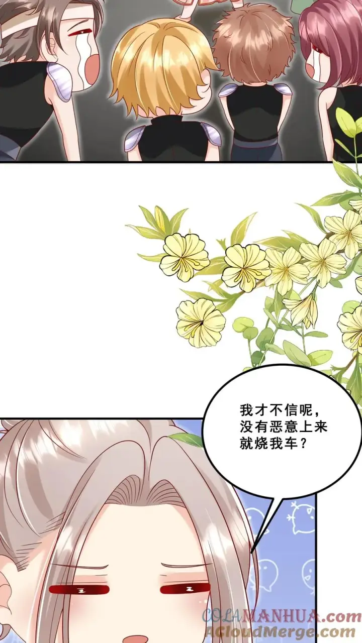 漫画《团宠萌宝：四岁小师傅下山了》第174话 什么鸟语第11张图