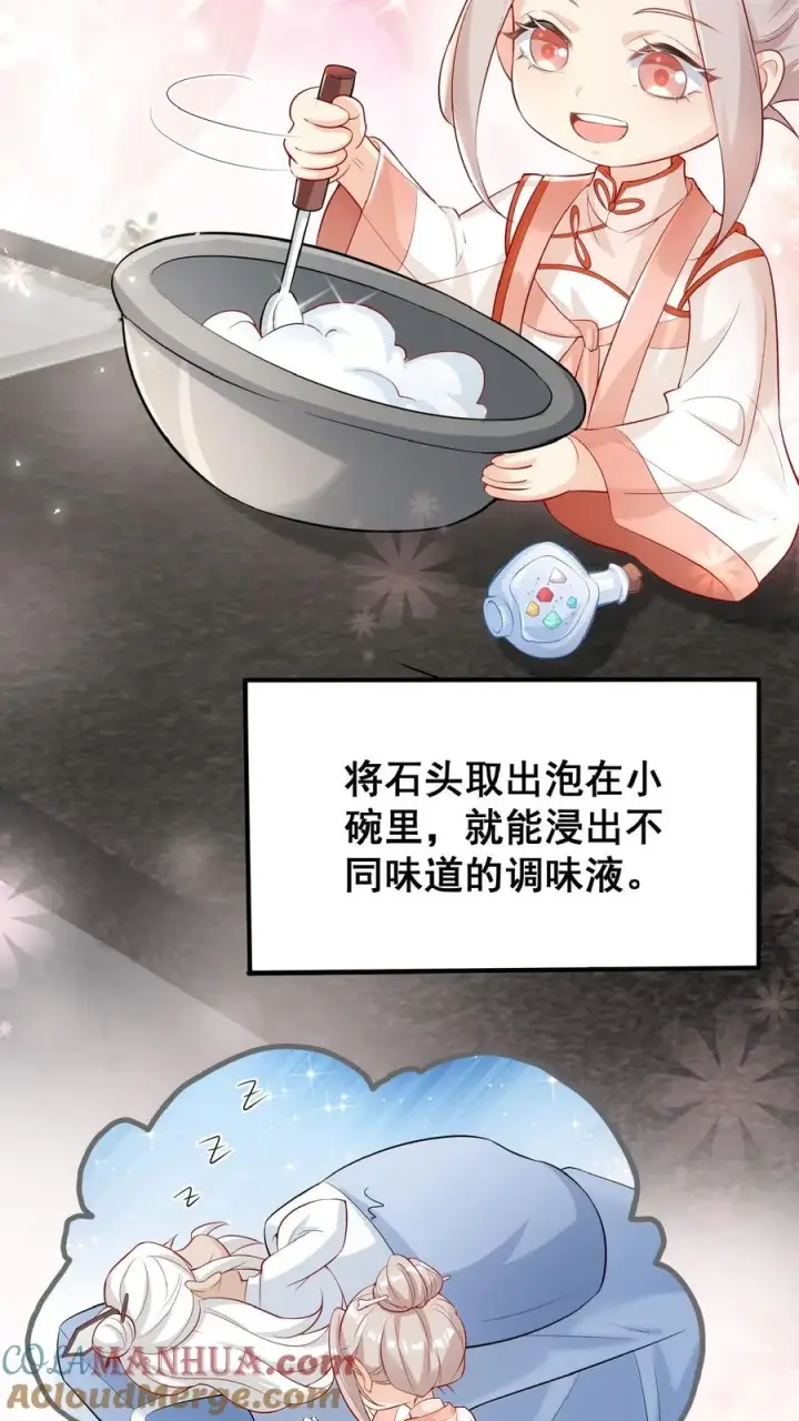 漫画《团宠萌宝：四岁小师傅下山了》第18话 神奇的五味石第19张图