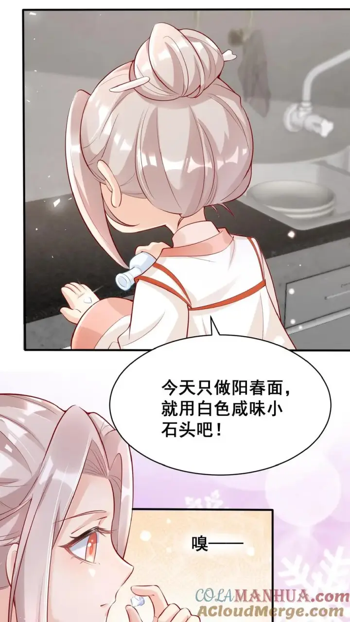 漫画《团宠萌宝：四岁小师傅下山了》第18话 神奇的五味石第21张图