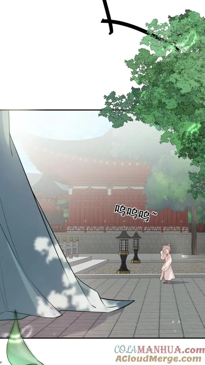 漫画《团宠萌宝：四岁小师傅下山了》第1话 萌宝下山啦第23张图