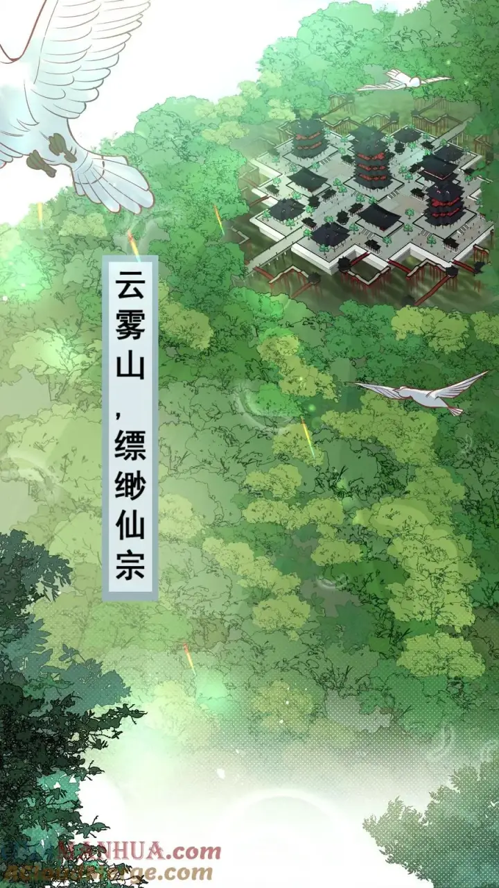 漫画《团宠萌宝：四岁小师傅下山了》第1话 萌宝下山啦第3张图