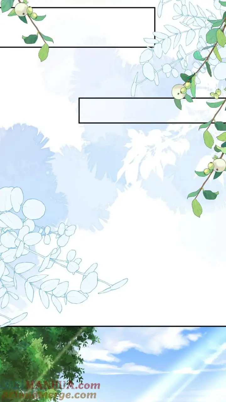 漫画《团宠萌宝：四岁小师傅下山了》第208话 初进药王谷第11张图