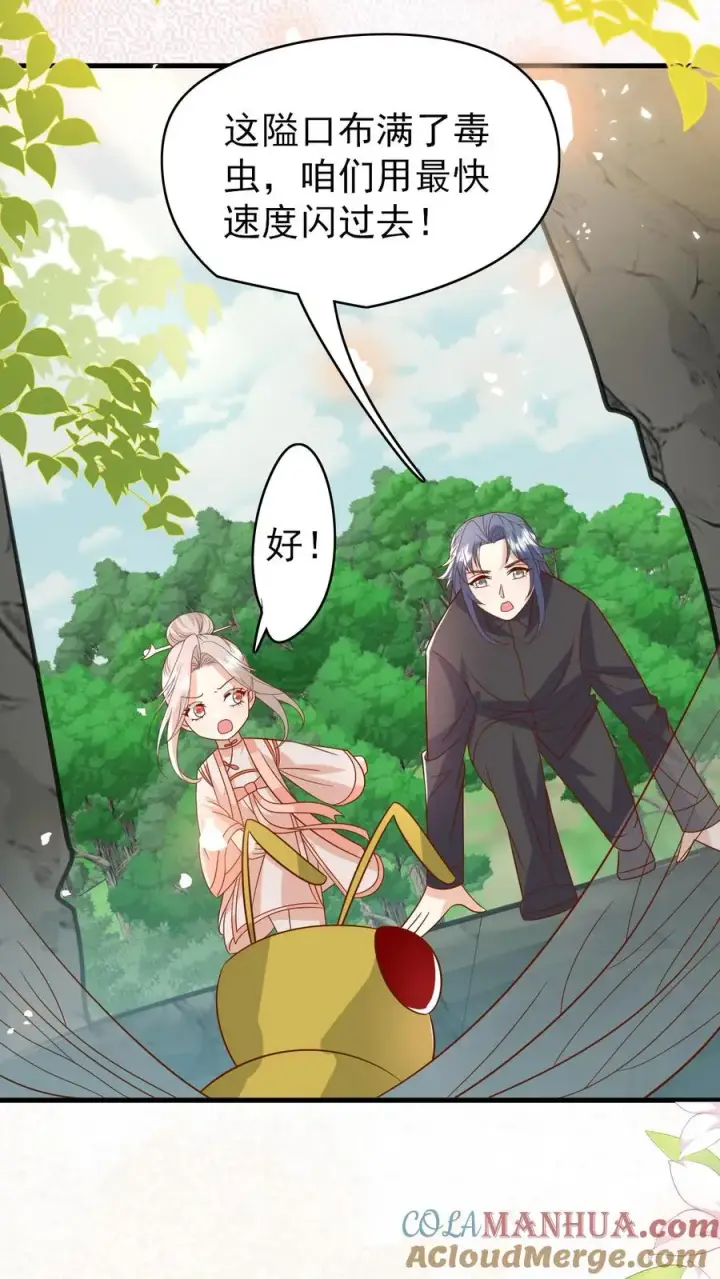 漫画《团宠萌宝：四岁小师傅下山了》第209话 让冷师兄娶你第3张图