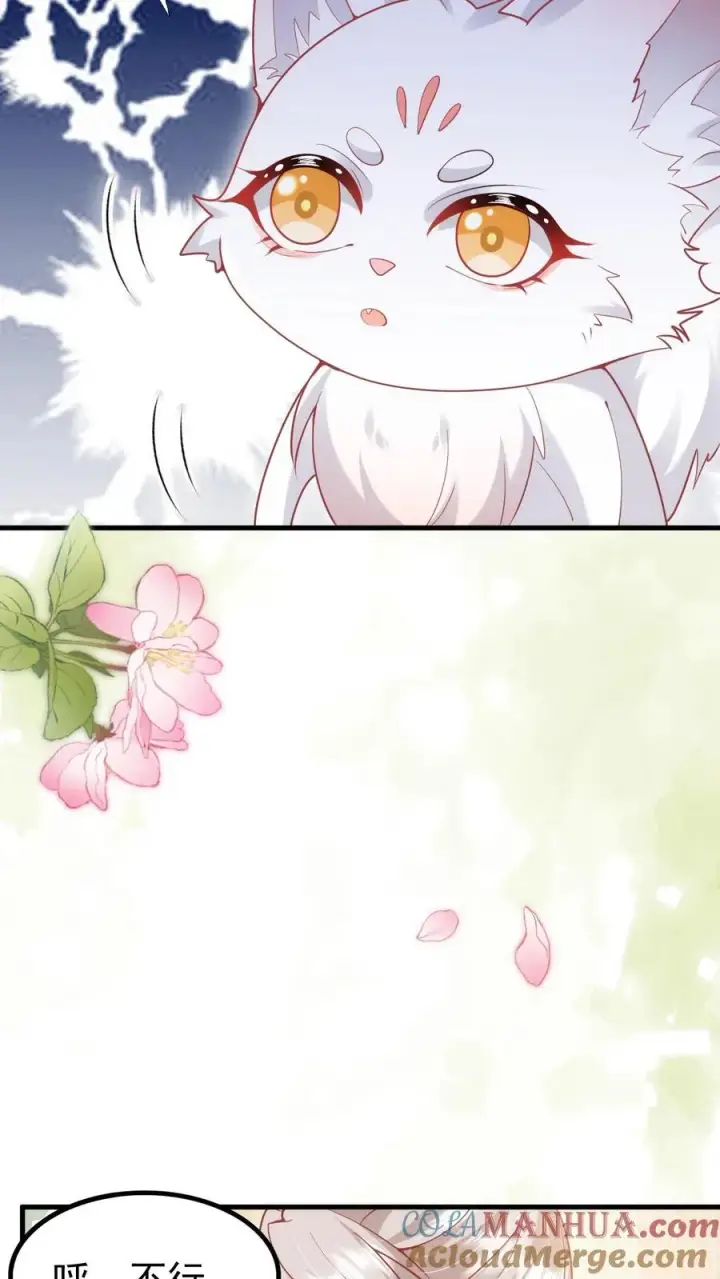 漫画《团宠萌宝：四岁小师傅下山了》第219话 熙熙会走啦第13张图