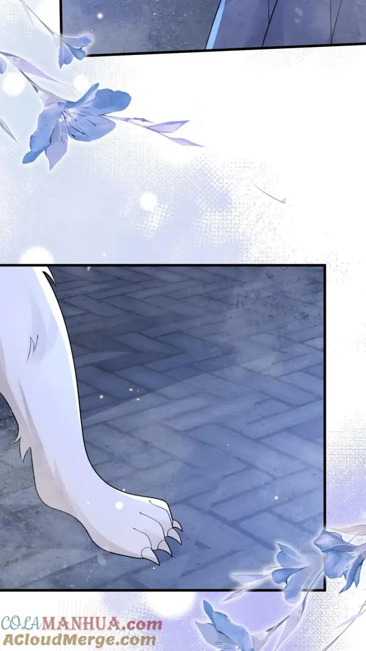 漫画《团宠萌宝：四岁小师傅下山了》第223话 敌袭第25张图