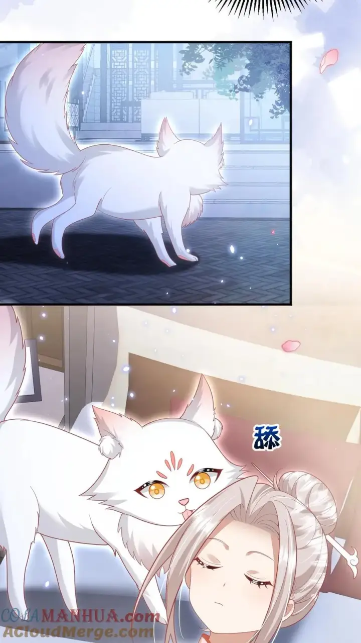 漫画《团宠萌宝：四岁小师傅下山了》第224话 不能招惹的存在第7张图