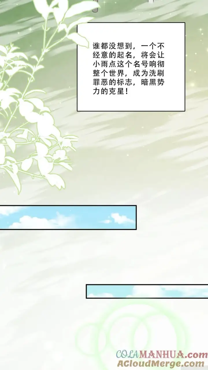 漫画《团宠萌宝：四岁小师傅下山了》第240话 小雨点第11张图