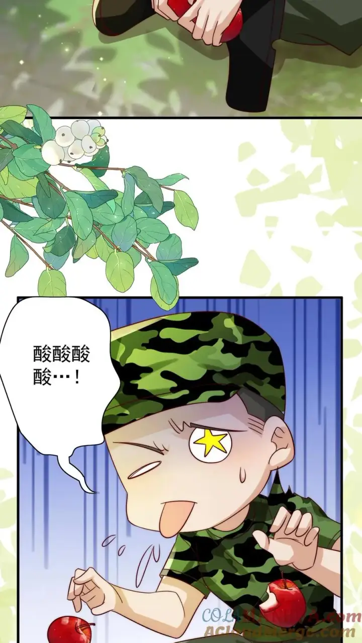 漫画《团宠萌宝：四岁小师傅下山了》第247话 兽潮第11张图