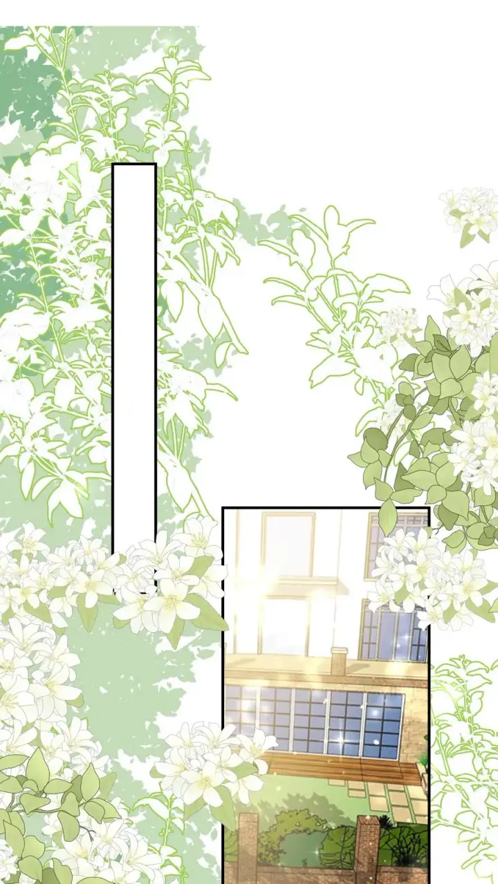 漫画《团宠萌宝：四岁小师傅下山了》第260话 柔柔转正了第12张图
