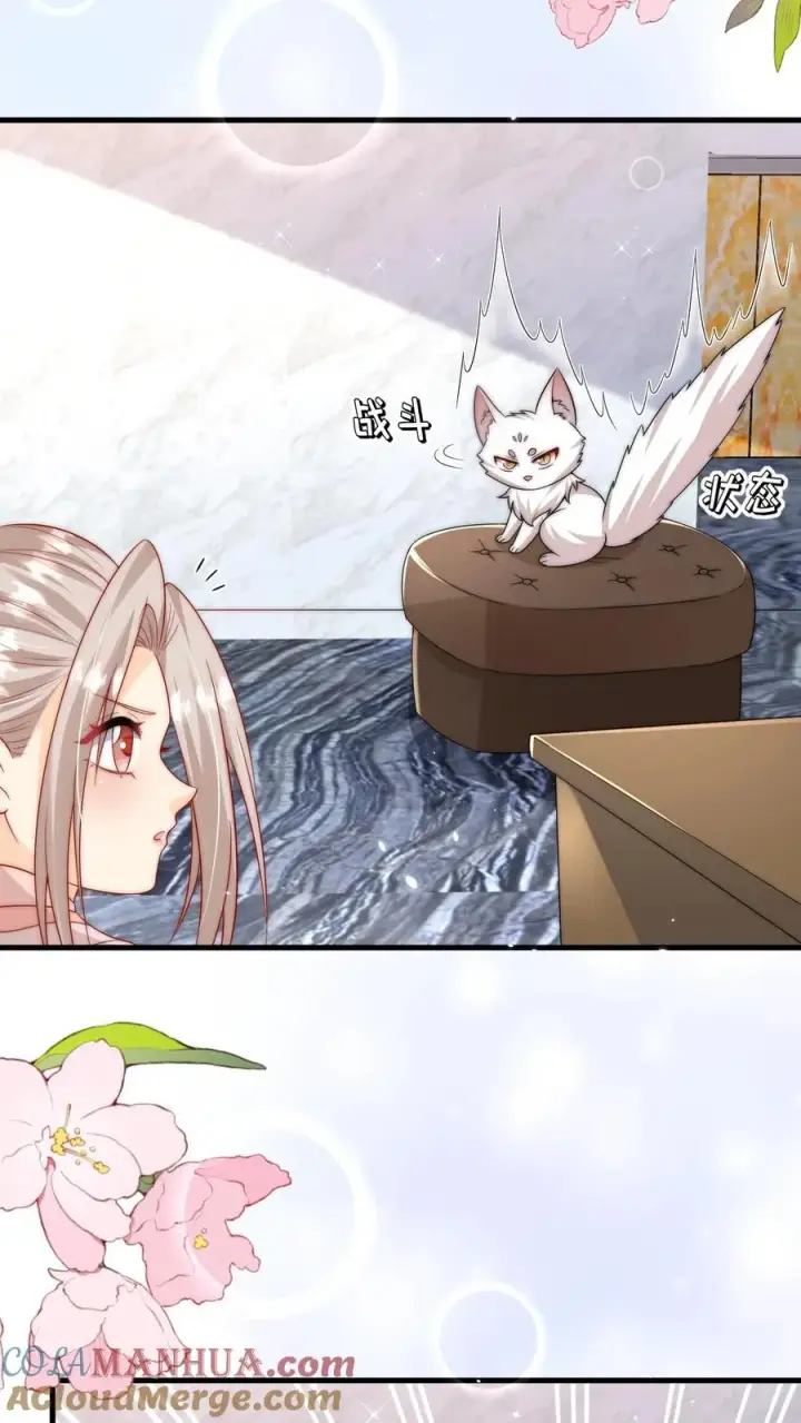 漫画《团宠萌宝：四岁小师傅下山了》第291话 月黑风高杀人夜第13张图