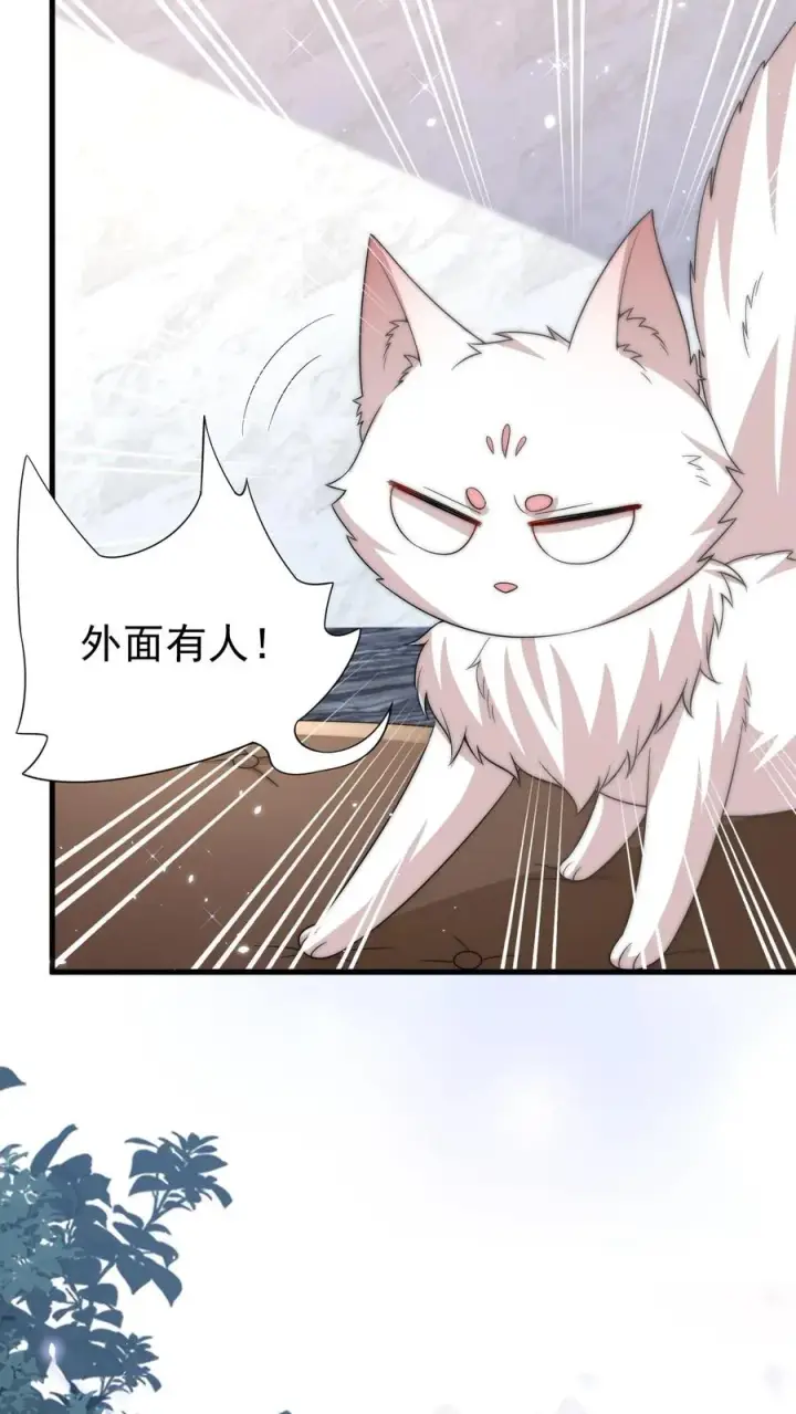 漫画《团宠萌宝：四岁小师傅下山了》第291话 月黑风高杀人夜第14张图