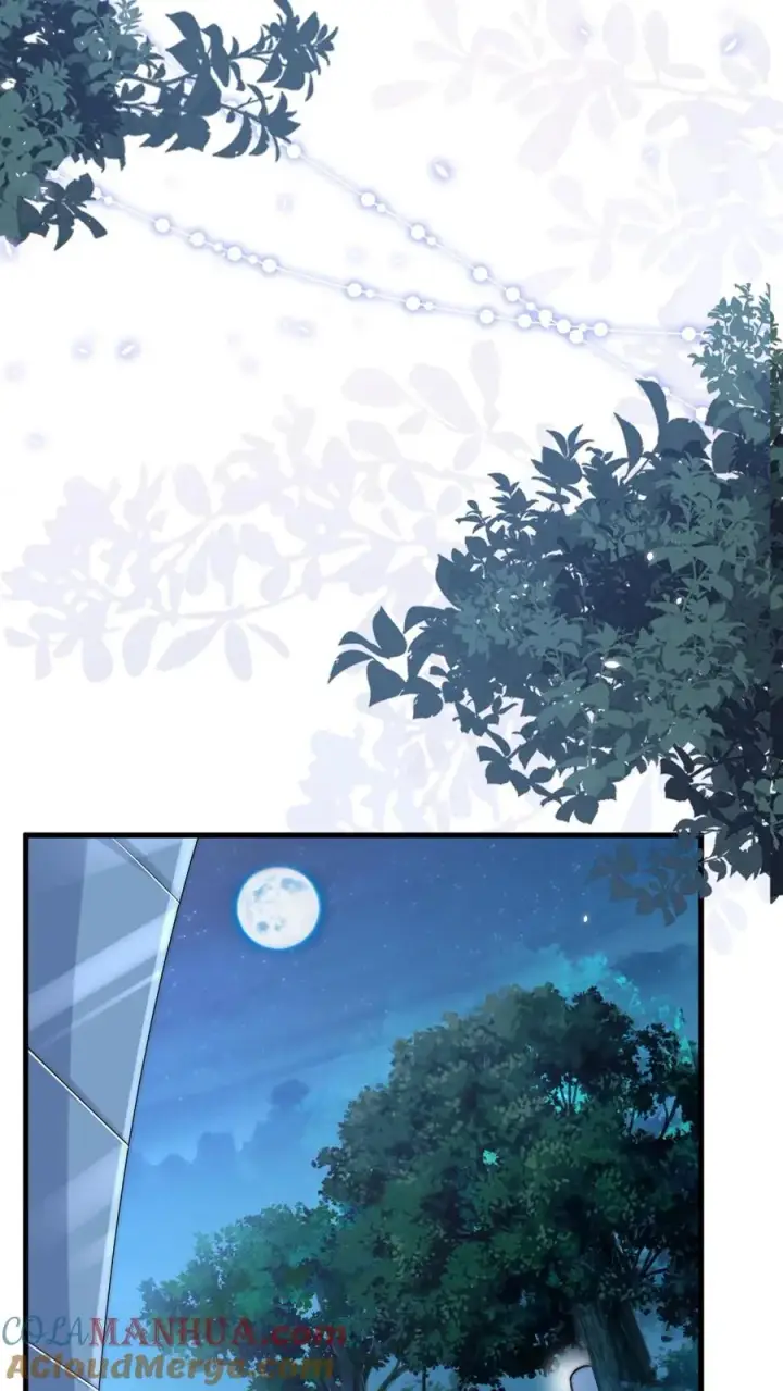 漫画《团宠萌宝：四岁小师傅下山了》第291话 月黑风高杀人夜第15张图
