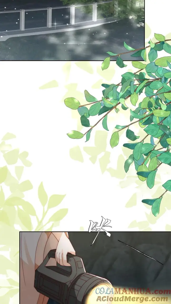 漫画《团宠萌宝：四岁小师傅下山了》第302话 车祸和密道第21张图
