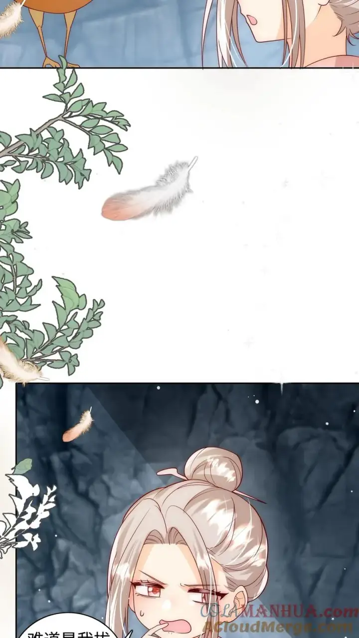 漫画《团宠萌宝：四岁小师傅下山了》第307话 凤不是凤凰第15张图