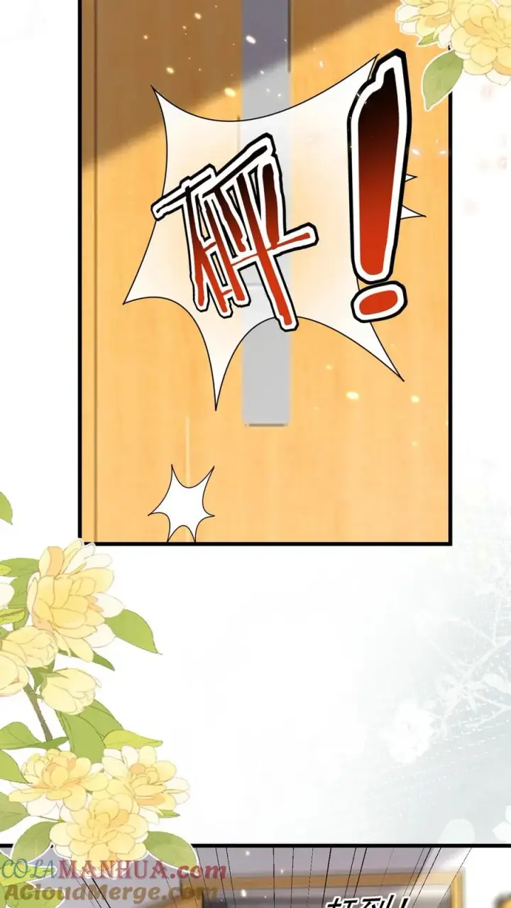 漫画《团宠萌宝：四岁小师傅下山了》第309话 再次南云乡第21张图
