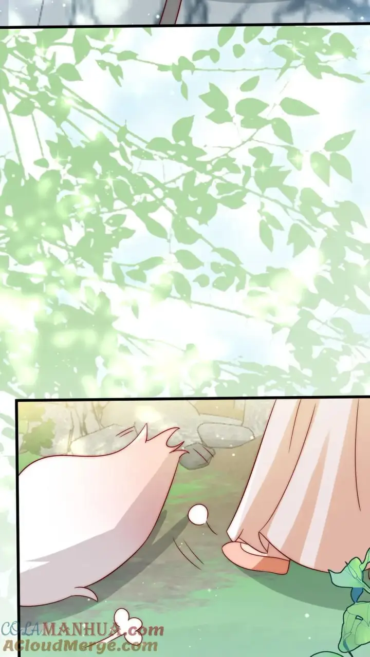 漫画《团宠萌宝：四岁小师傅下山了》第313话 高效杀虫术第21张图