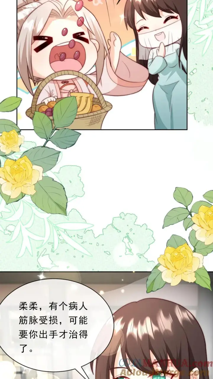 漫画《团宠萌宝：四岁小师傅下山了》第344话 总有刁民想害朕第21张图