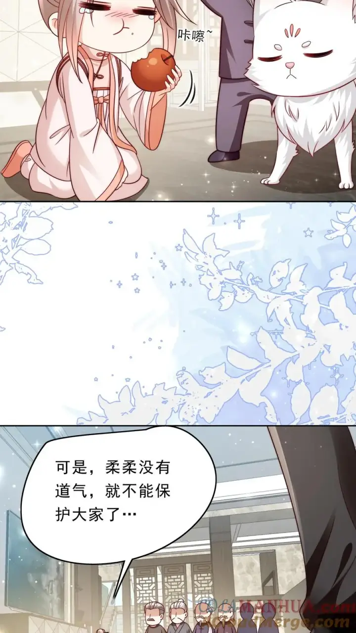 漫画《团宠萌宝：四岁小师傅下山了》第346话 永远的宝贝第15张图