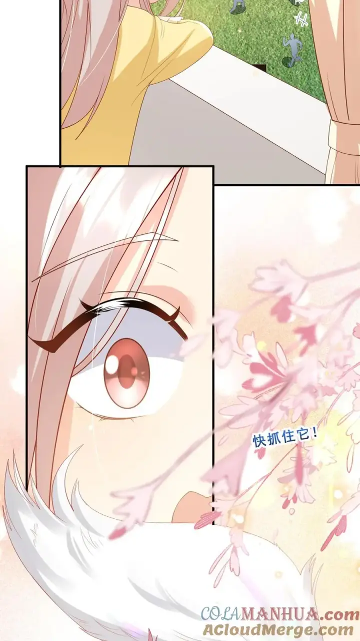 漫画《团宠萌宝：四岁小师傅下山了》第56话 小白狐灵儿第13张图