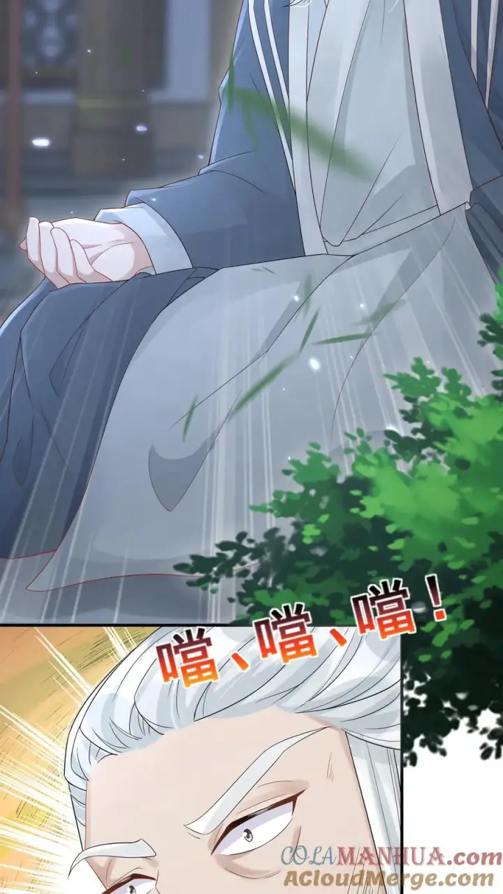 漫画《团宠萌宝：四岁小师傅下山了》第60话 天书传人第21张图