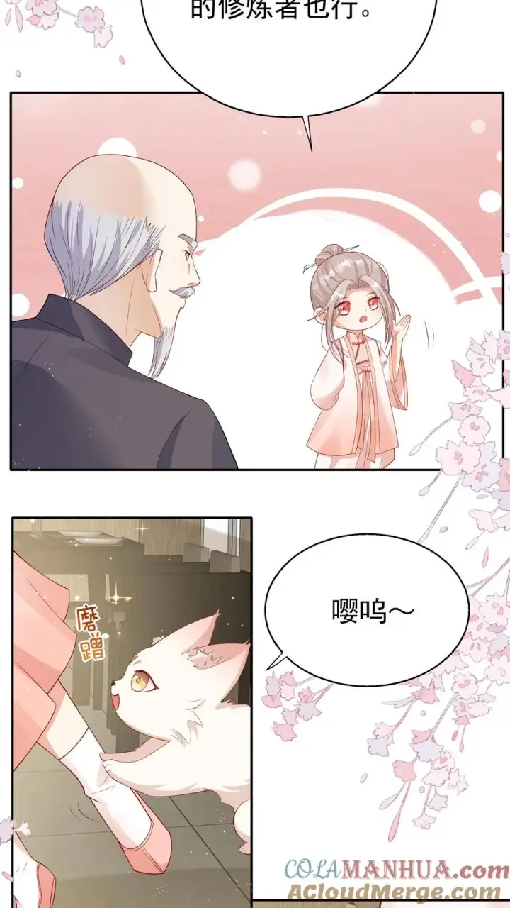 漫画《团宠萌宝：四岁小师傅下山了》第63话 被大佬惦记第7张图