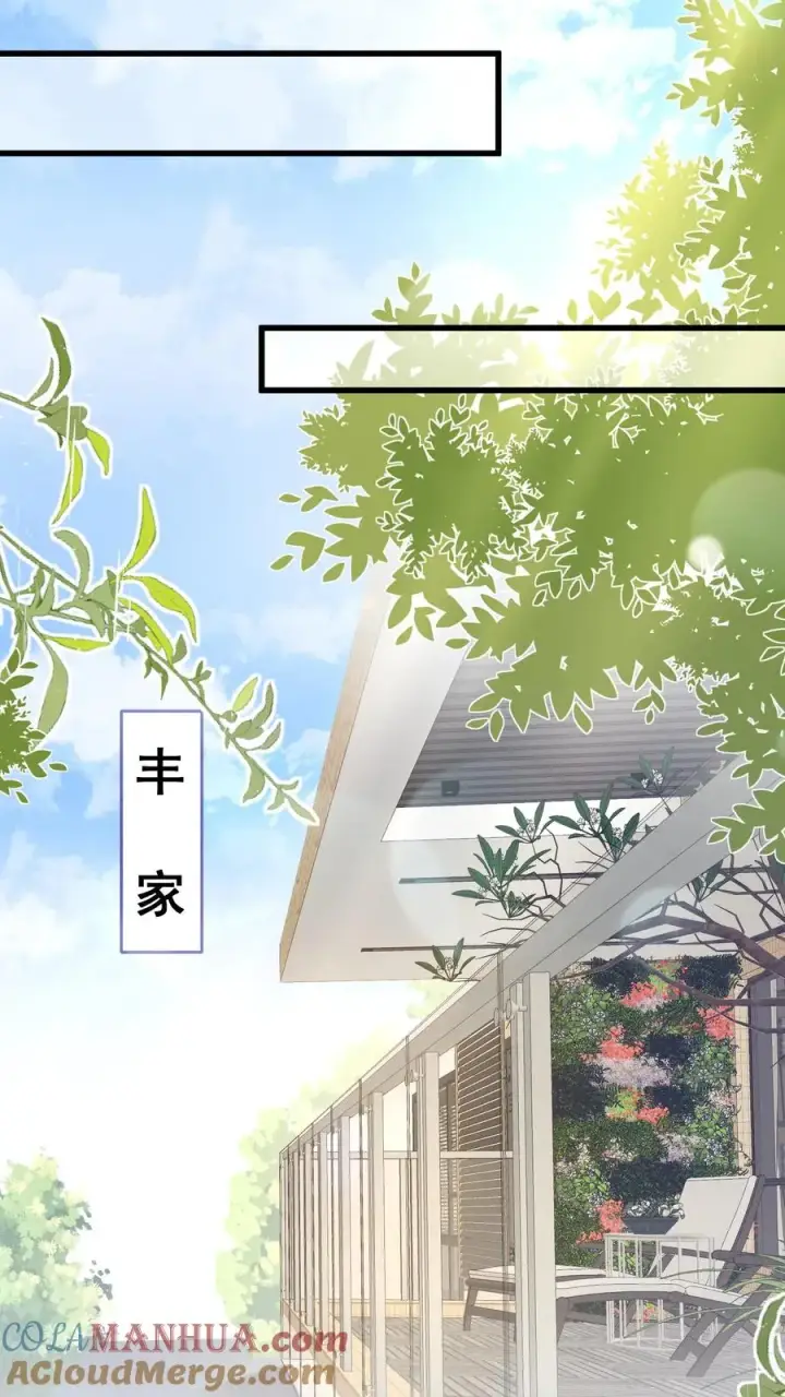 漫画《团宠萌宝：四岁小师傅下山了》第74话 两头猪的笨第21张图